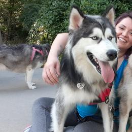 Siberian Huskies from Addicted to the Husky Life