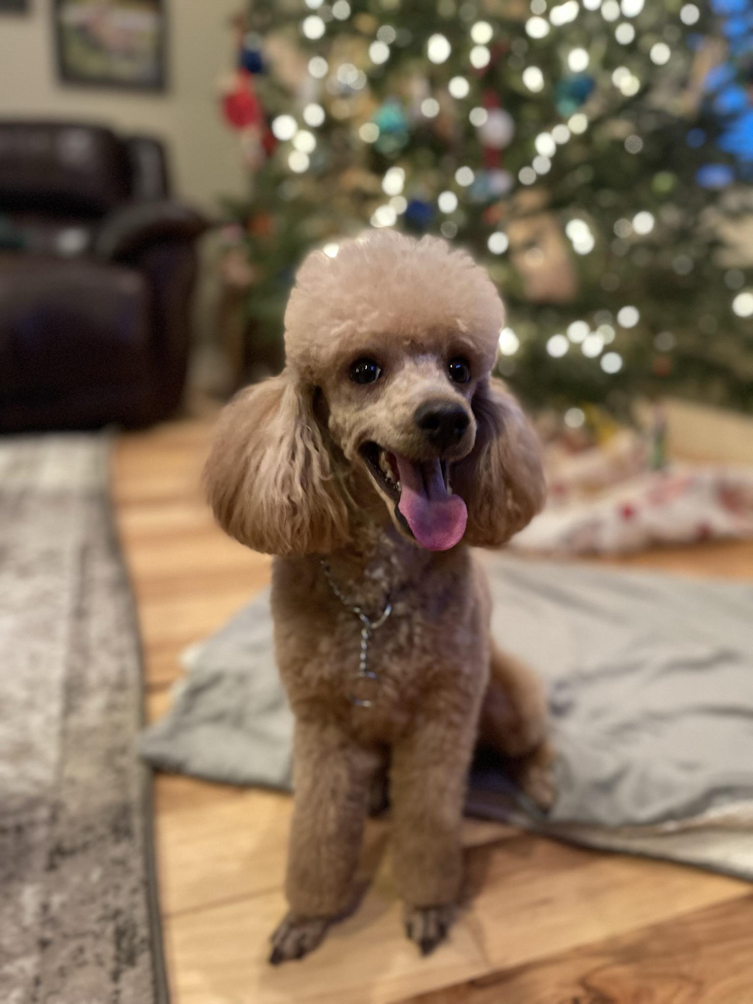 Max