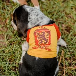 Basset Hound Puppies from Greene Acres Bassets