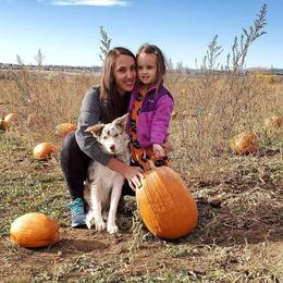 Border Collie and Teddy Roosevelt Terrier Puppies from Boles Family Farm