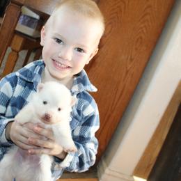 Sugar - White male Pomsky puppy in Stockton, Utah from Mischa Nelson