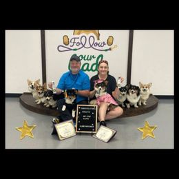 Mei - Black and tan female Pembroke Welsh Corgi puppy in Charleston, West Virginia from Lone Pine Corgis