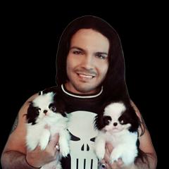 Japanese Chin Puppies from Mystike Japanese Chin