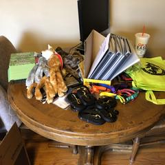 Leonberger Puppies from Tipping Point Leonbergers