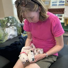 Dalmatian Puppies from ArmySoldier Dalmatians