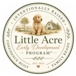Assorted Doodle Crosses and Goldendoodles from Little Acre Doodles
