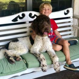 Magnolia - Labradoodle