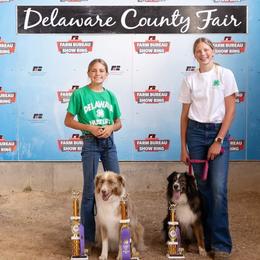 Australian Shepherd All Grown Up from Wexford Creek Aussies, LLC