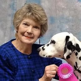 Misty,  Pink collar - White and black female Dalmatian puppy in Decatur, Alabama from Hollytree Dalmatians