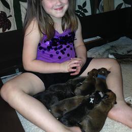 Boxer Puppies from Quinney’s Boxers