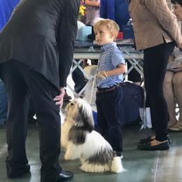 Havanese All Grown Up from Jacqueline Carney