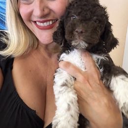 Lagotto Romagnolo Puppies from Anna’s Lagottos