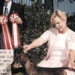 Dachshunds from Brazos Ski Kennels