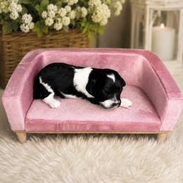 Trixie - Black and white female Cavapoo puppy in Thorndale, Texas from Hattie’s Texas Cavapoos