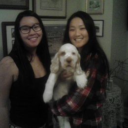 Clumber Spaniel Puppies from SunMagic Clumber Spaniels