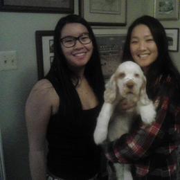 Clumber Spaniel Puppies from SunMagic Clumber Spaniels