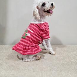 Southern Lady - Poodle