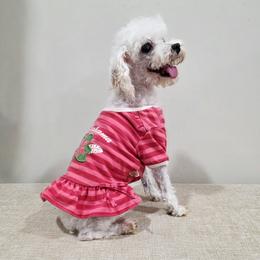 Southern Lady - Poodle