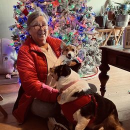 Luna - Red Pembroke Welsh Corgi puppy in Veguita, New Mexico from 4J High Desert Corgis