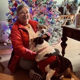 Luna - Red Pembroke Welsh Corgi puppy in Veguita, New Mexico from 4J High Desert Corgis