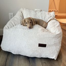 Maverick - Dachshund