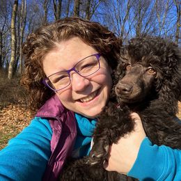 Poodle Puppies from Piccolo's Poodles