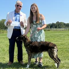 Borzois from Pagosa Borzoi