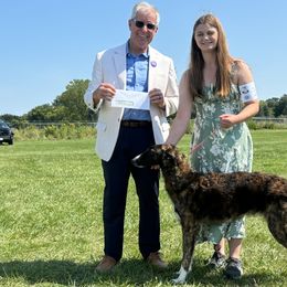 Borzois from Pagosa Borzoi