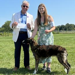Borzois from Pagosa Borzoi