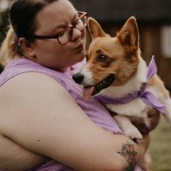 Pembroke Welsh Corgis from Mabel Creek Farm