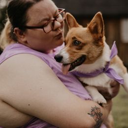 Pembroke Welsh Corgis from Mabel Creek Farm