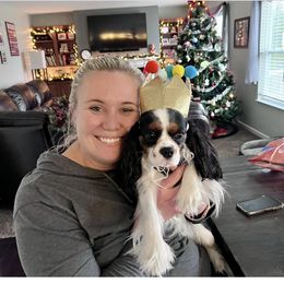 Cavalier King Charles Spaniel Puppies from Mapleview Cavalier King Charles Spaniels