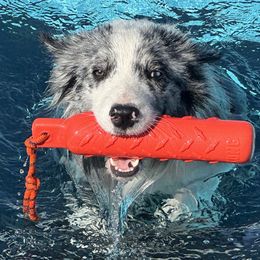 Australian Shepherds and Border Collies from Lightspeed Kennels