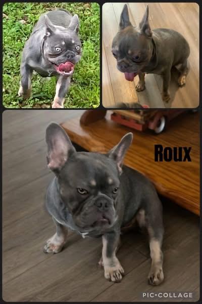 Roux