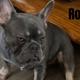 Roux