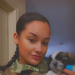 Shih Tzu Puppies from Willow Lane Shih Tzus