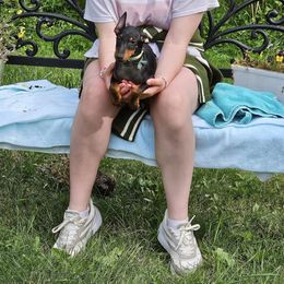 Boy 1 - Manchester Terrier puppy from Spirit Kennels