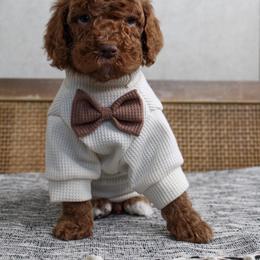 Stu Lou Who - Red  male Goldendoodle puppy in Warsaw, Ohio from Lovabledoodles
