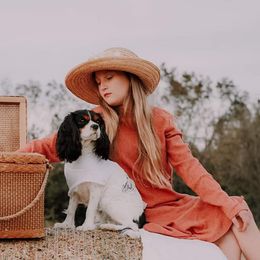 Aussiedoodles, Cavalier King Charles Spaniels, Cavapoos, and Toy Australian Shepherds from Darling Australians