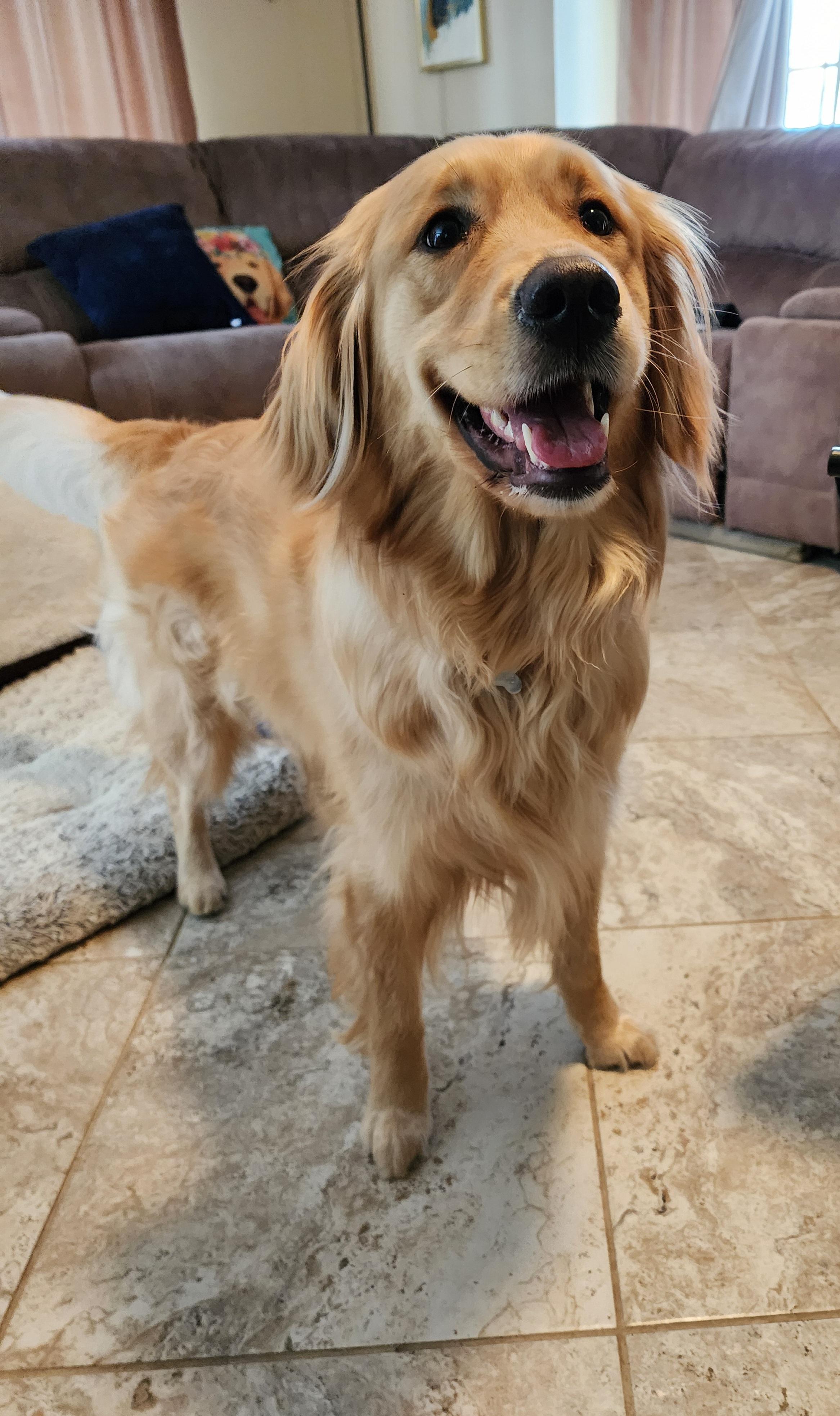 Whinnie