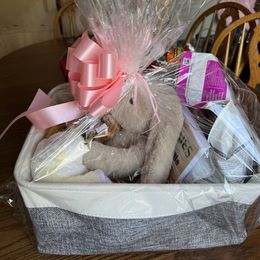 Shorkie Puppies from Shorkies R Us Breeding