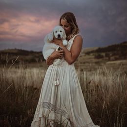 Golden Retriever Puppies from Vera Mountain Goldens