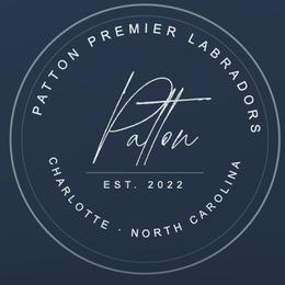 Bradley - Black male Labrador Retriever puppy in Charlotte, North Carolina from Patton Premier Labradors