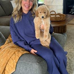 Prince Flynn - Brown male Bernedoodle puppy in Yuba City, California from Ranch House Doodles