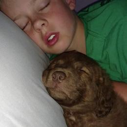 Chesapeake Bay Retriever Puppies from Twin Oak's Chesapeakes