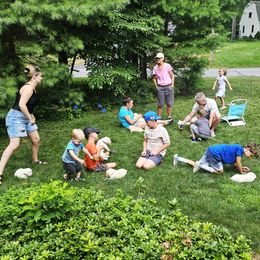 Labrador Retriever Puppies from Gabriel Ben-Yosef