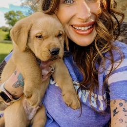 Labrador Retriever Puppies from Landon J Farms Labrador Retrievers