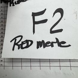 F2 - White and red merle female Border Collie puppy in Meridian, Mississippi from Border Hollow Border Collies