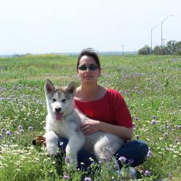 Alaskan Malamute Puppies from Ghost Dance Alaskan Malamutes