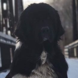 Grace - Newfoundland